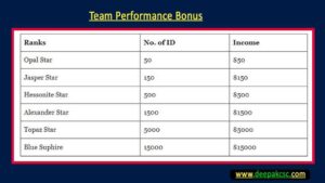 Team Performance Bonus